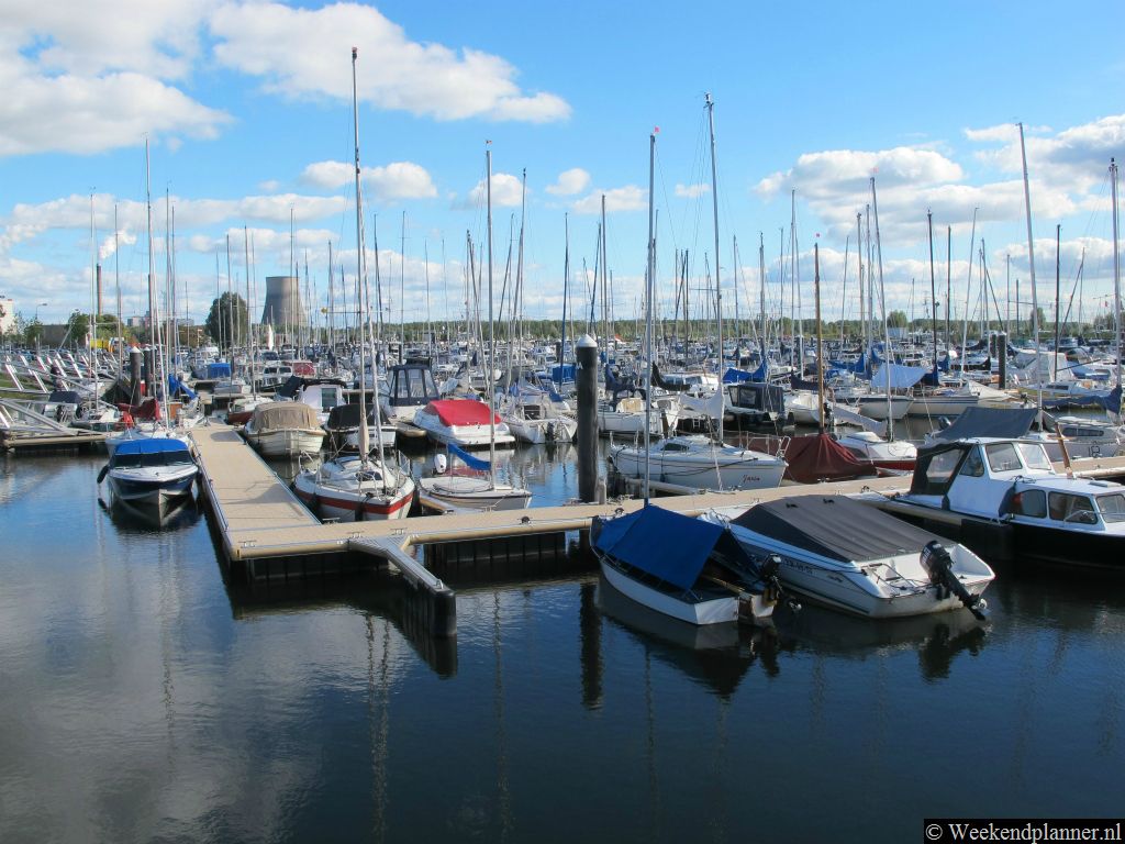 In de jachthaven van Drimmelen kun je boten, kano's, zeilboten en sloepen huren. Twee botenverhuurders zijn: Drima Botenverhuur, telefoon: 0162 682400 en  Café-Botenverhuur Van den Diepstraten, telefoon  0162 682 385.